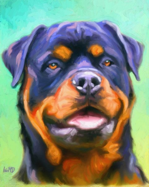 Рисунок собаки ротвейлера