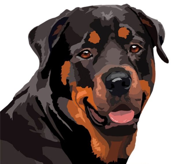 Ротвейлер эскиз