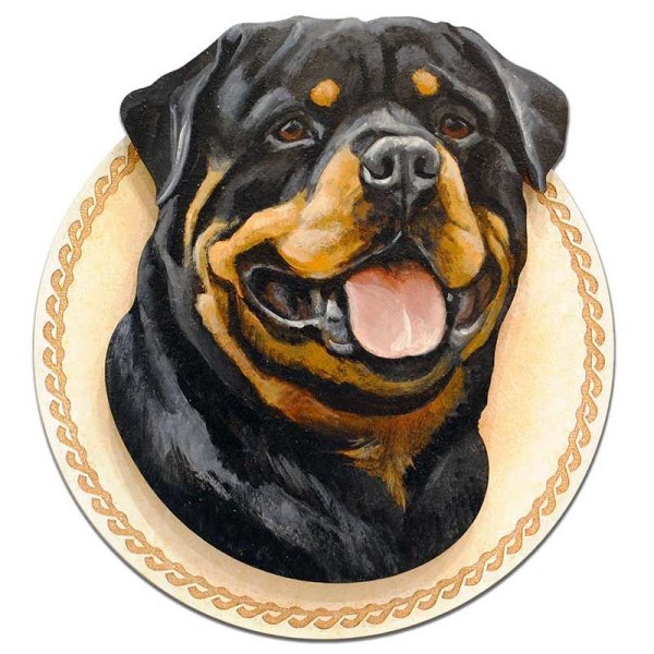 Нарисовать ротвейлера карандашом