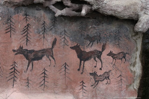 Наскальная живопись первобытных людей в России