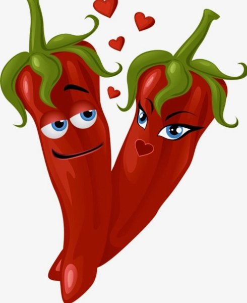 Перец кайенский vector