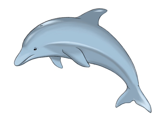 Tucuxi Дельфин