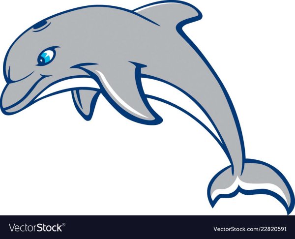 Дельфин мультяшный