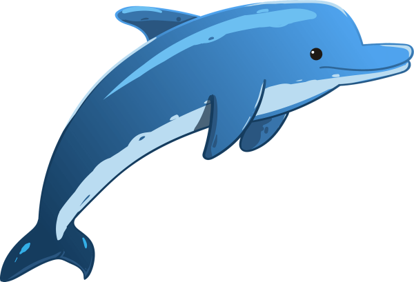 Дельфины для детей