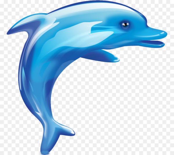 Дельфин мультяшный