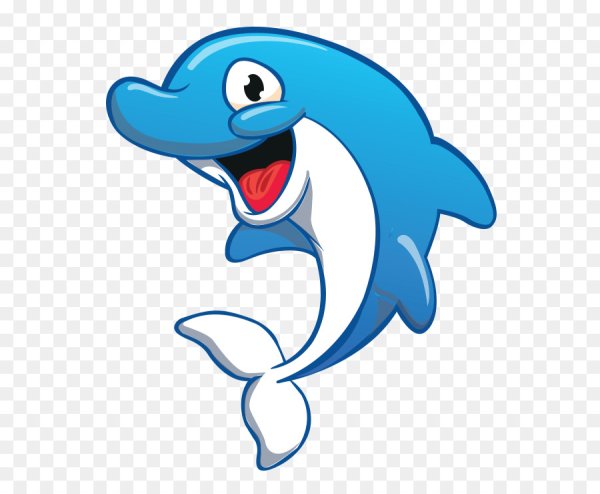 Дельфин рисунок без фона