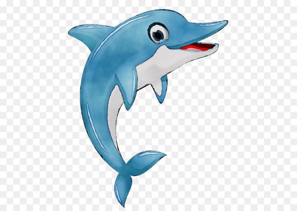 Дельфин рисунок