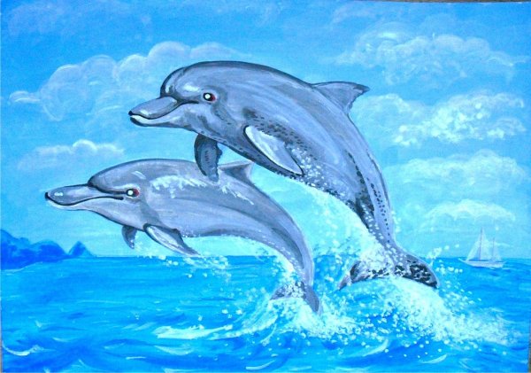 Ecco the Dolphin