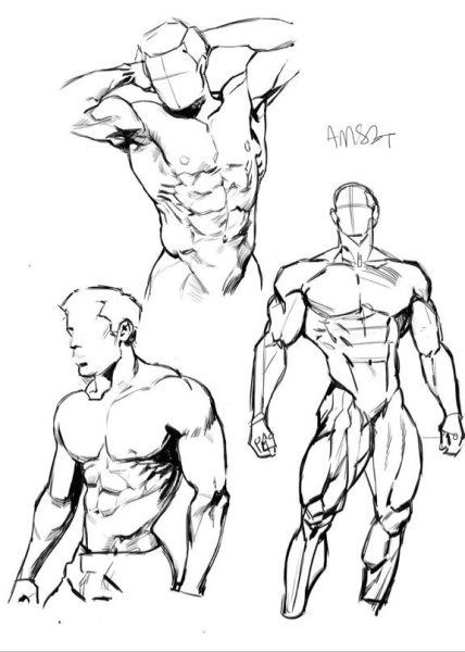 Позы качков для рисования