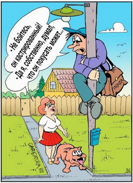 Веселые картинки юмор