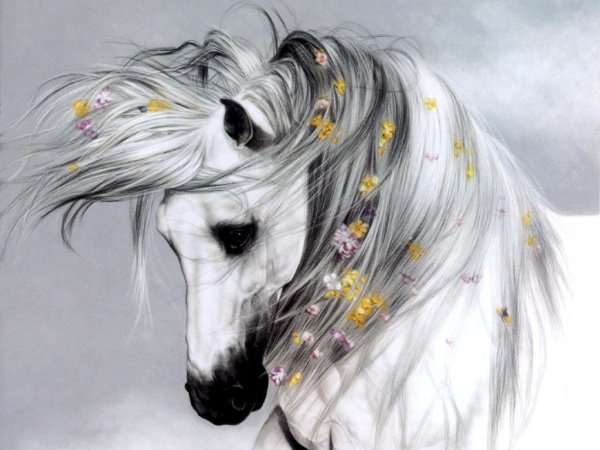 Lesley Harrison художник