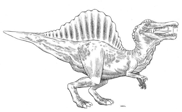 Шаблон динозавра Спинозавр