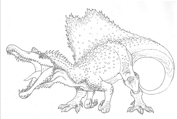 Раскраска про динозавров хищников Спинозавр
