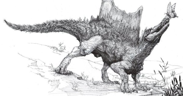 Спинозавр скетч