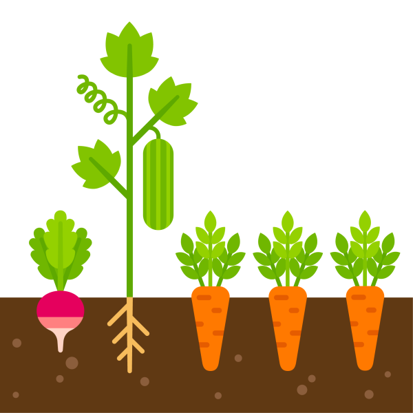 Овощи на грядке вектор