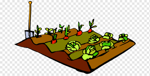 Грядка без фона