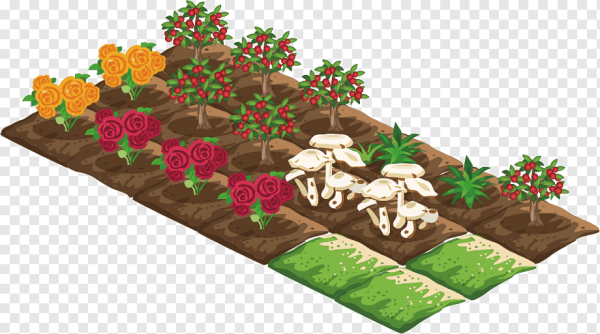 Грядка без фона