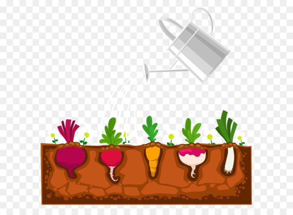 Овощи на грядке вектор