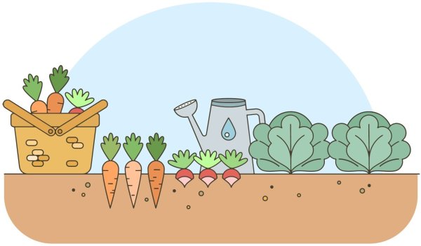 Нарисовать огород