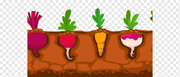 Грядка иллюстрация