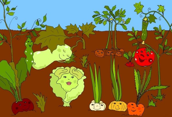Рисование овощи на грядке