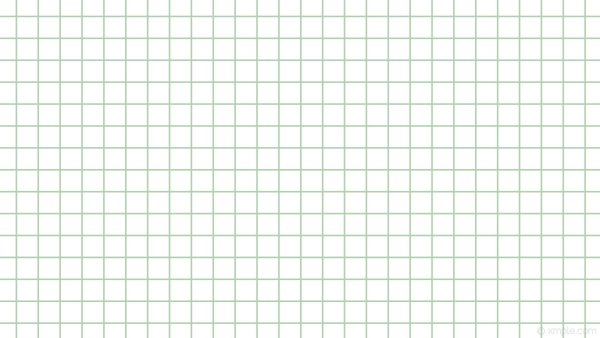 Тетрадь в клетку