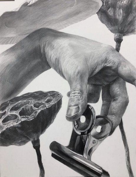 Графитные рисунки