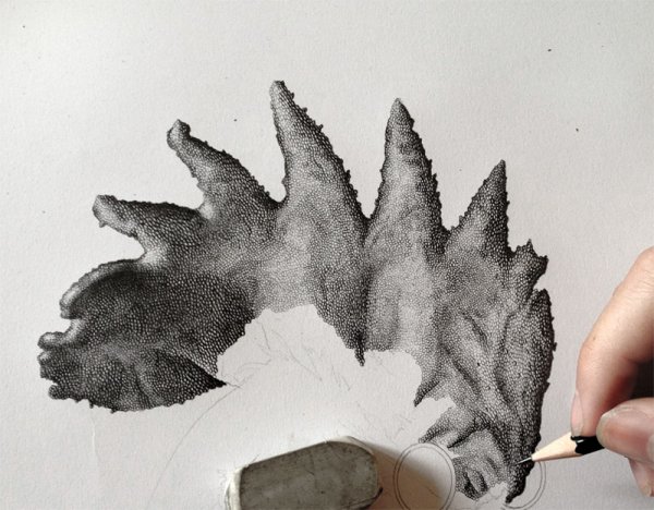 Техника рисования графитным карандашом