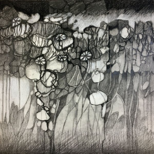 Графитовые картины