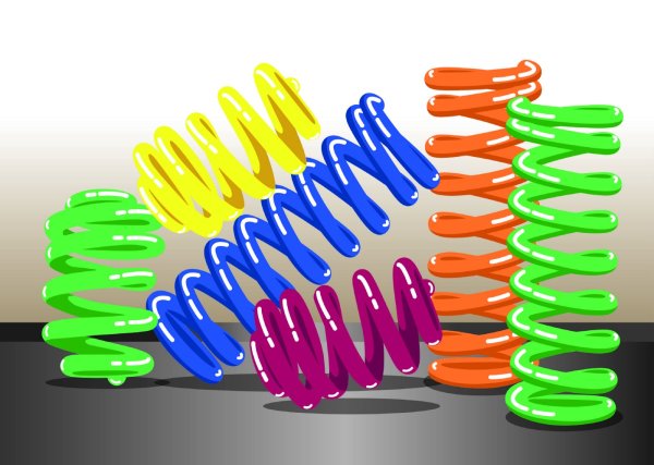 Пружина для детей