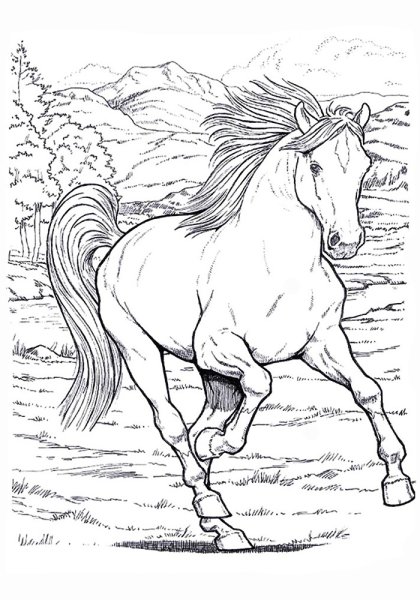 Раскраска конь