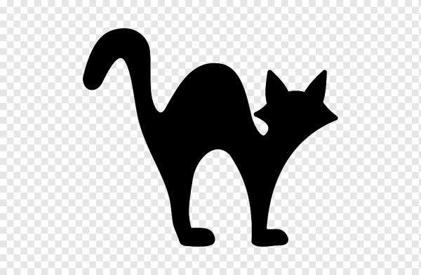 Силуэт кошки с выгнутой спиной
