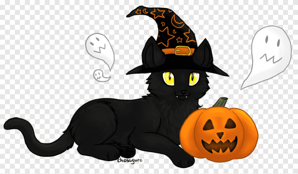 Силуэт черной кошки на Хэллоуин