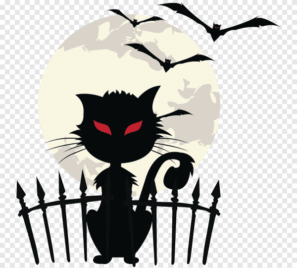 Черная кошка на Хэллоуин