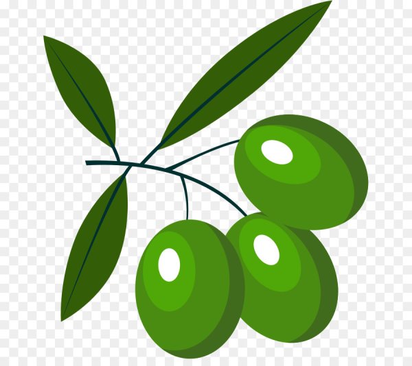 Оливки иллюстрация