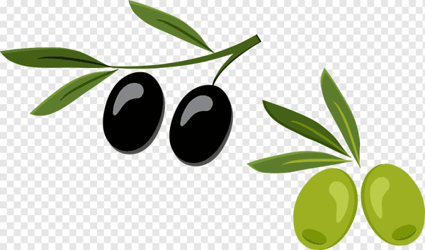 Маслины на белом фоне