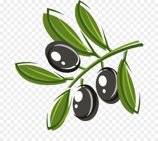 Веточка оливки