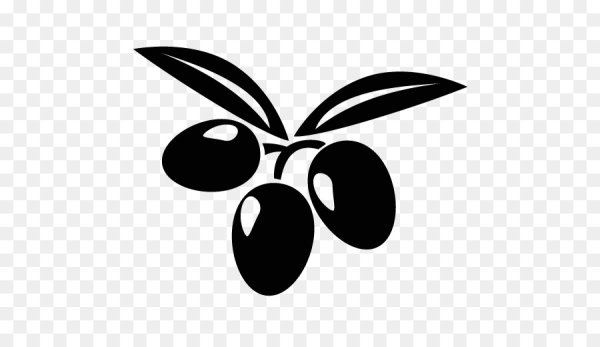 Маслины вектор