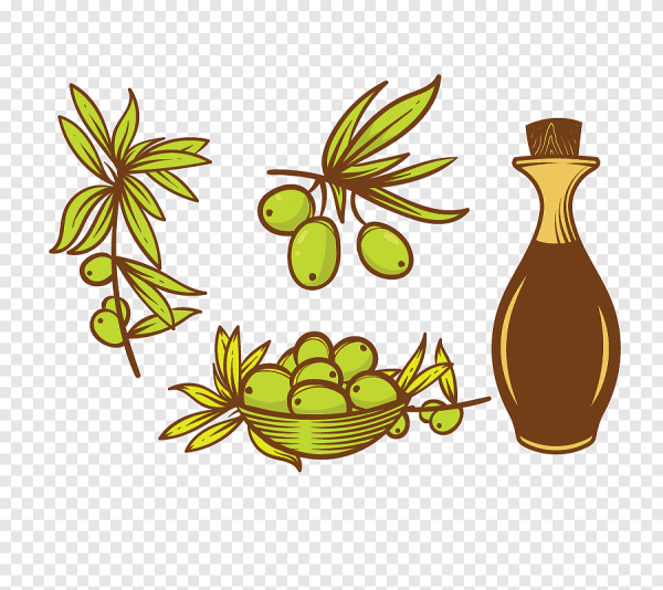 Масло оливы вектор