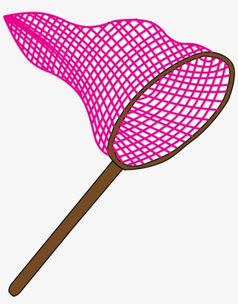 Сачок на белом фоне