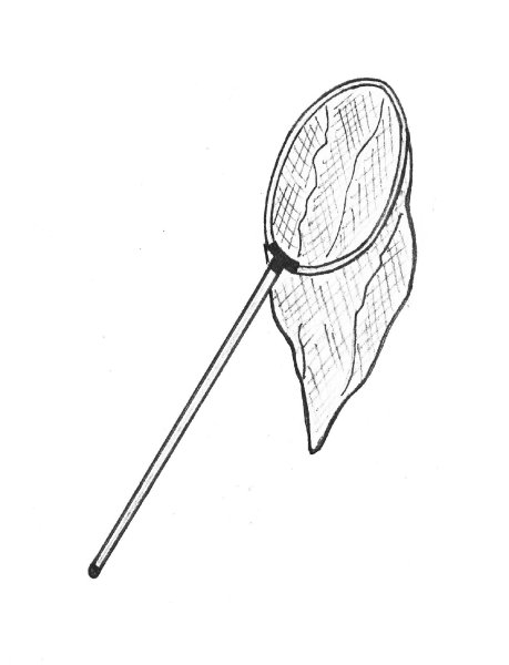 Сачок для бабочек раскраска