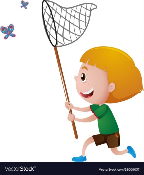 Мальчик ловит сачком