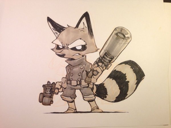 Енот ракета