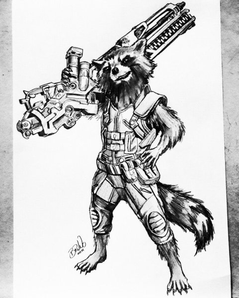 Енот ракета тату эскиз