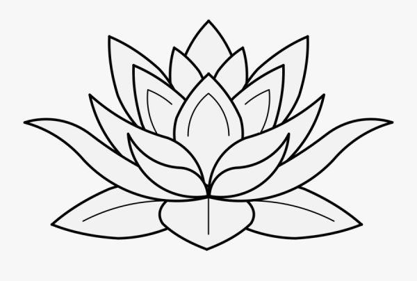 Лотос карандашом