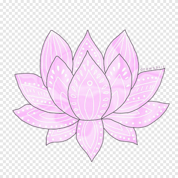 Схематичное изображение лотоса