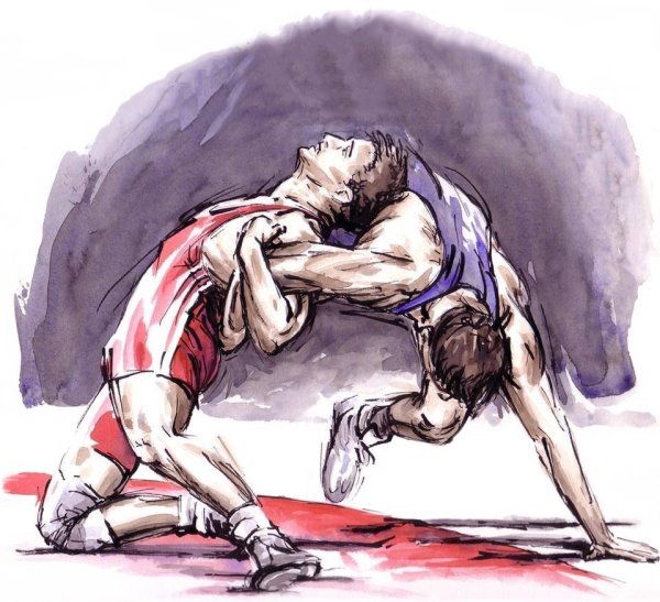 Вольная борьба Емельянов