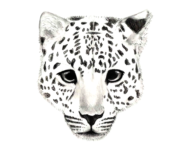 Голова леопарда