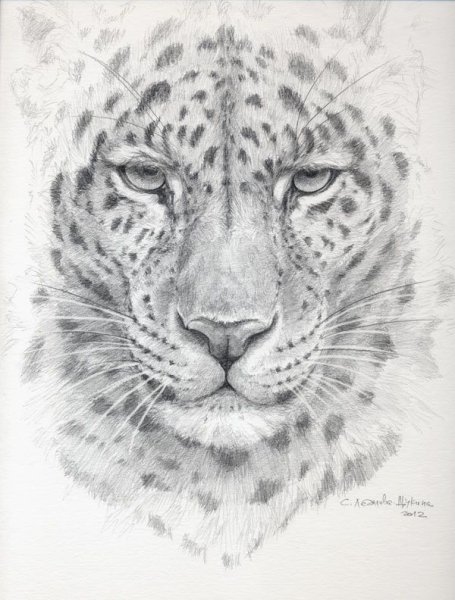 Тату снежный Барс эскизы