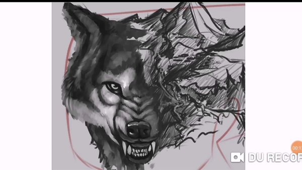 Волчий оскал тату эскизы